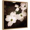White Dogwood Flowers III by Debra Van Swearingen 16-in. W x 16-in. H. Canvas Wall Art Print Framed in Natural